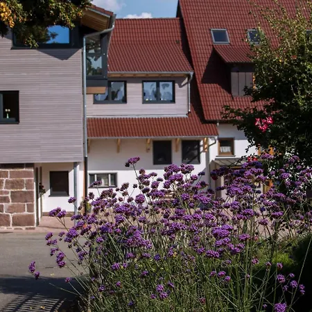 Saunaloft Schwarzwald Gemeinde Gemeinde Aichhalden Esterno foto