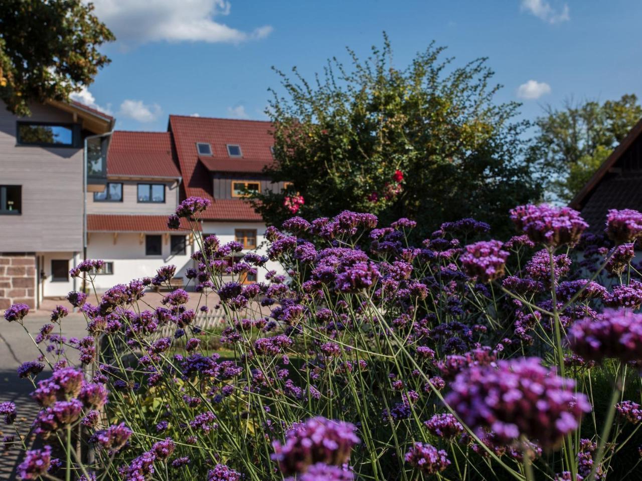 Saunaloft Schwarzwald Apartment Gemeinde Aichhalden