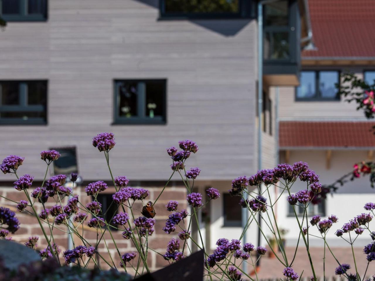Saunaloft Schwarzwald Apartment *